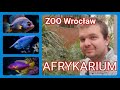 AFRYKARIUM | Wrocławskie ZOO