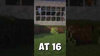 Minecraft at different ages #shorts