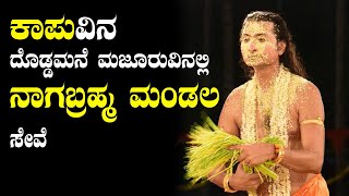 KAPU : ಕಾಪುವಿನ ದೊಡ್ಡಮನೆ ಮಜೂರುವಿನಲ್ಲಿ ,ನಾಗಬ್ರಹ್ಮ ಮಂಡಲ ಸೇವೆ | NAGAMANDALA