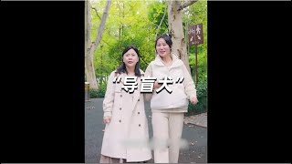 他没把我当残疾人，但也没把我当人#盲人 #导盲犬 #黄莺 #残疾人