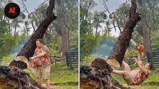 Idiots With Chainsaws: Tree Cutting Fails | Extreme Dangerous Logging Truck Fails #53