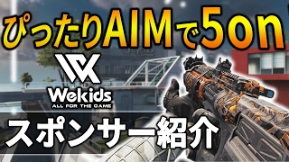 【IW実況】TDMにてぴったりAIMで5on！スポンサー紹介【Rush GreedZz】