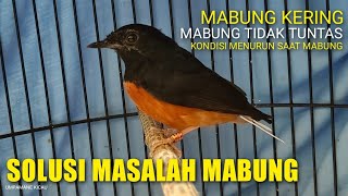 SOLUSI MABUNG TIDAK TUNTAS/SULIT MABUNG