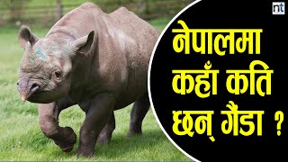 गैंडै गैंडाको देश बन्दैछ नेपाल  || Nepal Times