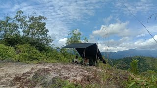 camping ke dalam hutan ││ kami menemukan lokasi bagus untuk mendirikan tenda