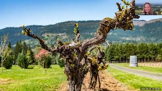 Oregon Wine Month Educational Webinars 2022 Umpqua Valley