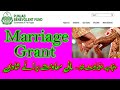 Benevolent Fund Marriage Grant, Punjab Benevolent Fund Marriage Grant Case Procedure