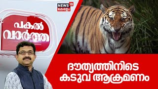 Pakal Vartha LIVE | ദൗത്യത്തിനിടെ കടുവ ആക്രമണം | Wayanad RRT Member Injured in Tiger Attack