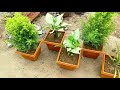 गमले में पौधे लगाने का सही तरीका ।। आज के बाद कोई पौधा नही मरेगा ।। best gardening tips