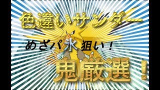 【ポケモンUSUM】罰ゲームで色サンダーめざ氷厳選＃17【色厳選】