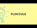 What is the meaning of the word FLOCCULE?