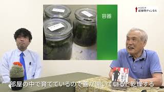 第185回　苔　ー　瓶の中で育つ小さな植物【KOZOの超植物チャンネル】