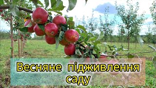 Підживлення саду весною. Підживлення фруктових дерев. Весняне підживлення саду.