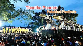 #Thootha Pooram of Sree Thootha Bhagavathy Temple | Palakkad Festivals 2022#pooram#