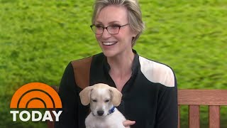 Jane Lynch Joins KLG And Hoda To Help Clear The Shelters | TODAY