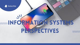 Perspectives on Information Systems: Insights from Experts and Practitioners