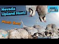 Upland Bird Hunting in Nevada - Mixed Bag of Chukar and Quail!