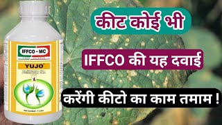 Yujo insecticide | iffco yujo insecticide | yujo iffco mc | Chloropyriphos 50% + Cypermethrin 5% |