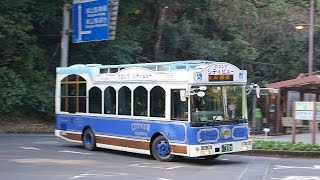 日本九州鹿児島市交通局いすゞ KK-LR233J1改仙巌園(磯庭園)前-天文館 Kagoshima City View Tour Bus