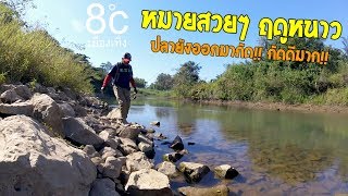 เข้าหมายสวยๆ โขดหิน ฤดูหนาวเย็น  7°C ปลากัดดีมากๆ Ultralight fishing