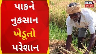 Surat News | પાકને નુકસાન ખેડૂતો પરેશાન | Farmer News | Gujarati News| News18 Gujarati