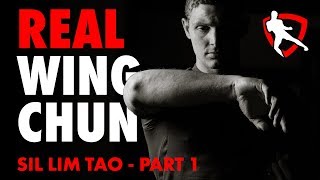 Wing Chun Applications - Sil Lim Tao Part 1