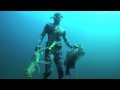 spearfishing world record grouper and giant lobsters youtube