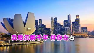 李英   泪水酿成相思酒   MTV