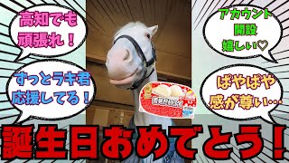 【アオラキ】かわいい白毛のゴルシ産駒・お誕生日おめでとう！！に対する競馬好きの反応【競馬の反応集】