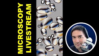 Permanent Microscope Slides - Vertical
