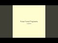 Pulse Forest Fragments