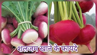 शलजम खाने के फायदे //Benefits of turnip