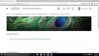 How to update your profile in Brightspace