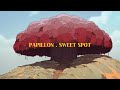 papillon sweet spot 𝙨𝙡𝙤𝙬𝙚𝙙 𝙧𝙚𝙫𝙚𝙧𝙗