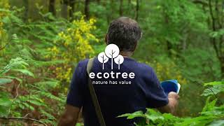 Discover the small heroes of the forests with us - EcoTree