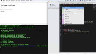 Meteor for Server Side Developers