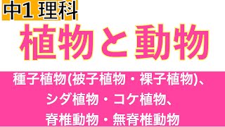 【テストに出るポイントを押さえよう!!】被子植物、裸子植物、シダ植物、コケ植物、脊椎動物、無脊椎動物〔現役講師解説、中学1年、理科〕