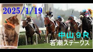 2025/1/19　中山９レース　若潮ステークス　枠順確定