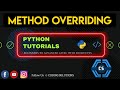 #45 Introduction To OOP | Method Overriding In Python | Python Programming For Beginners |