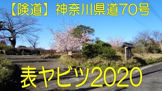 【険道】神奈川県道70号・表ヤビツ2020＠神奈川県秦野市