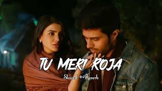 Tu Meri Roja | Slowed  + Reverb | Vijay Deverakonda & Samantha | Kushi Movie Songs