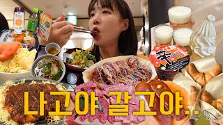 나고야에서 생긴 일 ep.1 | 인생 맛집 찾은 ssul🥩 | 소도시 타카야마 맛집 뿌시고 옴👀