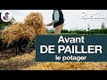 Que faire avant de pailler le potager