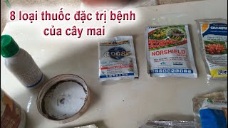 8 loại thuốc phòng và trị tất cả bệnh của cây mai (thán thư, rỉ sắt) * Lấy gam gần đúng không có cân