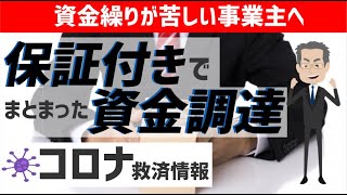 【セーフティーネット４号・５号】国の保証付きでまとまった資金の融資を得る方法｜コロナ救済情報