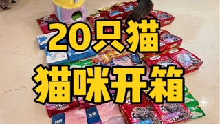 20只猫的猫咪开箱来喽～