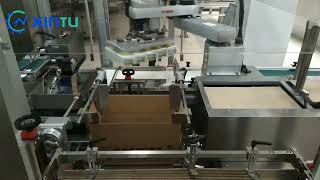Why Our High-Speed Robotic Case Packer is the Ultimate Solution for Pharmaceutical Packaging?