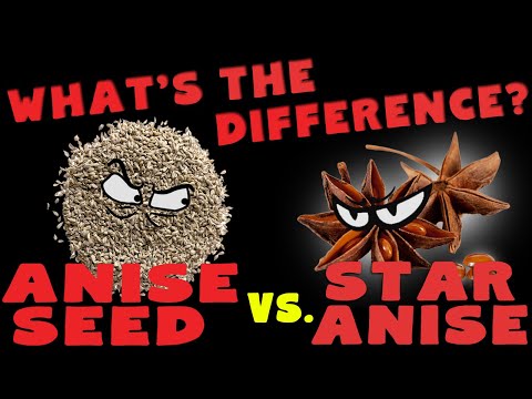 What is the difference between anise oil and anise extract?