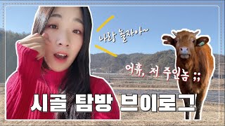 [VLOG] 소의 해에 소 보러 가기 | 시골 탐방 브이로그