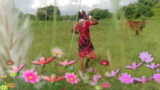 sambalpuria dance// Tarbod // Palsipani // Nuapada # Odisha